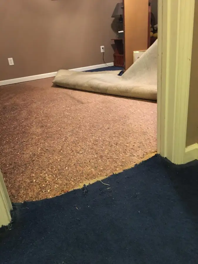 Carpet pad removal revealing water damage during Drying & Dehumidification in Cohasset