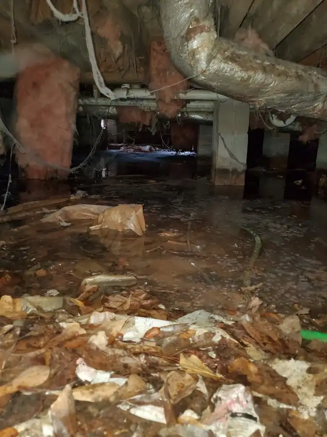 Crawl space flood assessment for Leak Detection & Repair in Cohasset